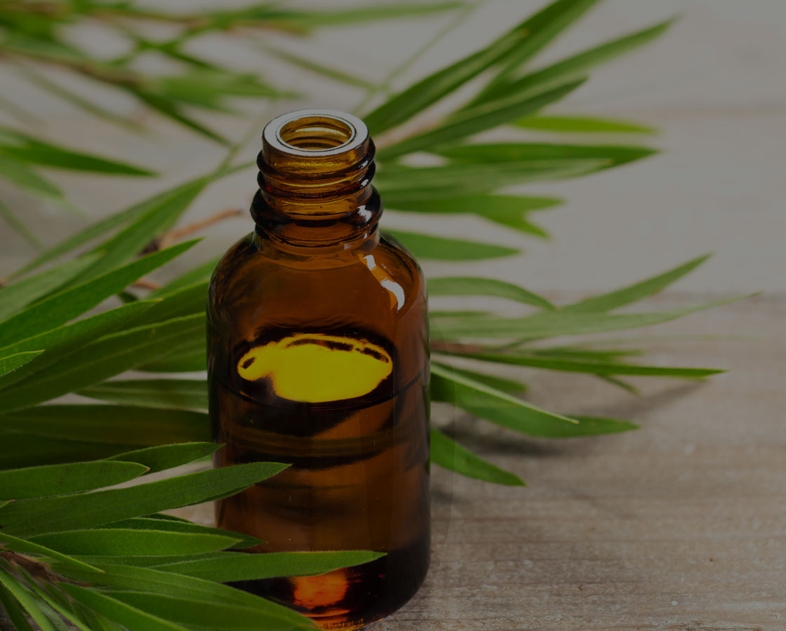 Tea tree essential oil